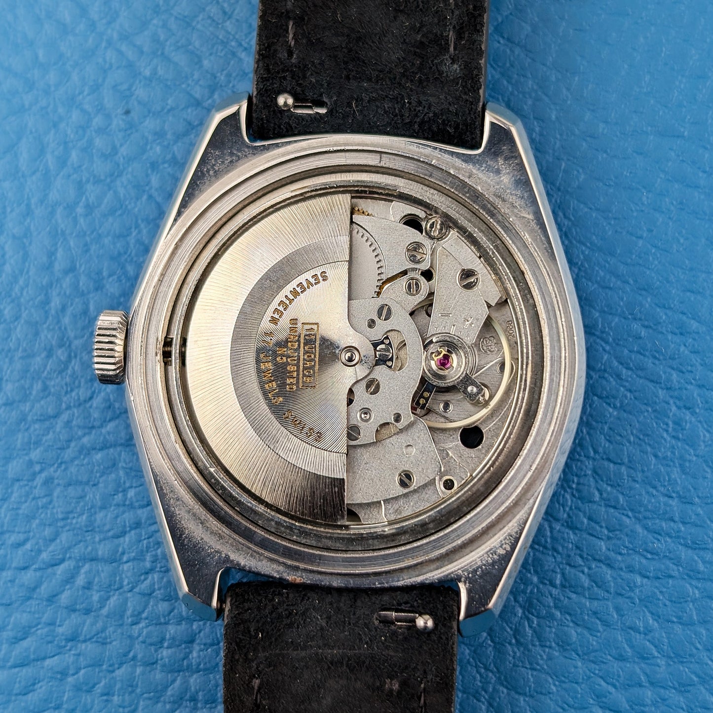 Catalina Set-O-Matic